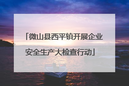 微山县西平镇开展企业安全生产大检查行动