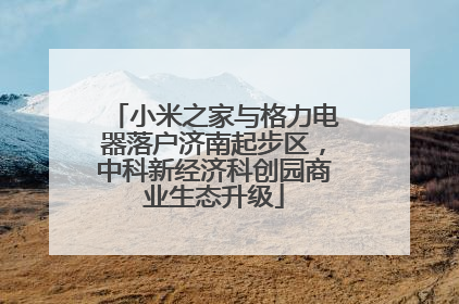 小米之家与格力电器落户济南起步区，中科新经济科创园商业生态升级