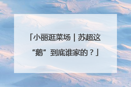 小丽逛菜场｜苏超这“鹅”到底谁家的？