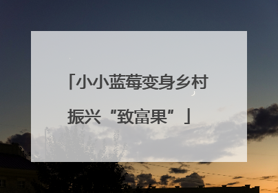 小小蓝莓变身乡村振兴“致富果”
