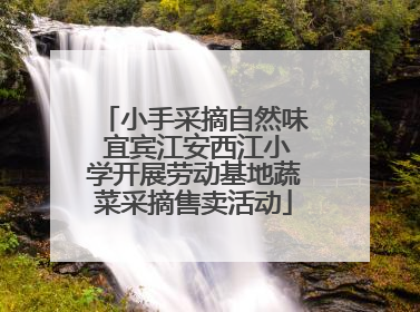 小手采摘自然味 宜宾江安西江小学开展劳动基地蔬菜采摘售卖活动