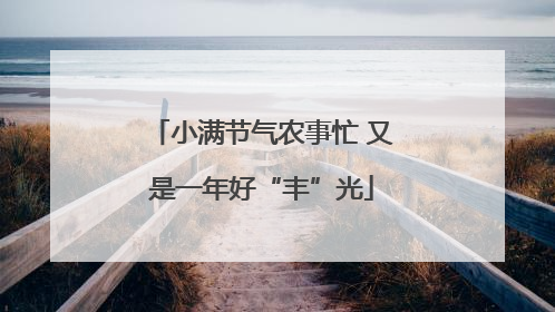 小满节气农事忙 又是一年好“丰”光