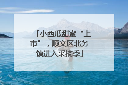 小西瓜甜蜜“上市”，顺义区北务镇进入采摘季