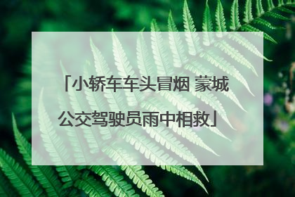 小轿车车头冒烟 蒙城公交驾驶员雨中相救