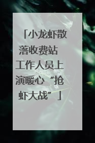 小龙虾散落收费站 工作人员上演暖心“抢虾大战”