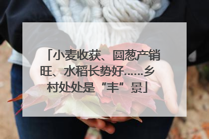 小麦收获、圆葱产销旺、水稻长势好……乡村处处是“丰”景