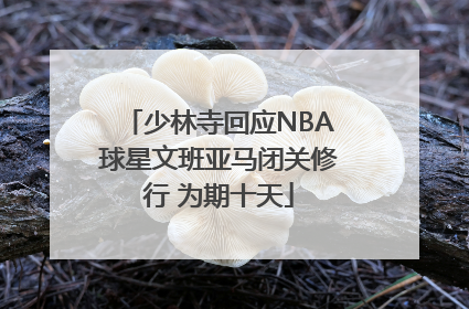 少林寺回应NBA球星文班亚马闭关修行 为期十天