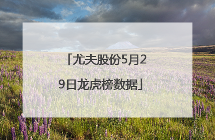 尤夫股份5月29日龙虎榜数据