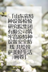 山东省特种设备检验研究院集团有限公司筑牢高原特种设备安全防线 共绘拉萨美好生活画卷