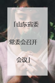 山东省委常委会召开会议