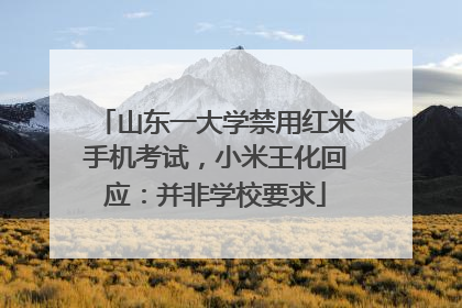 山东一大学禁用红米手机考试，小米王化回应：并非学校要求