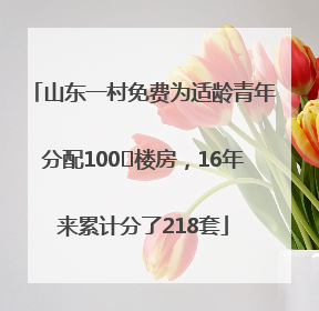 山东一村免费为适龄青年分配100㎡楼房，16年来累计分了218套