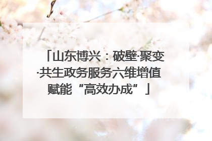 山东博兴：破壁·聚变·共生政务服务六维增值赋能“高效办成”