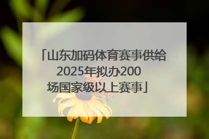 山东加码体育赛事供给 2025年拟办200场国家级以上赛事