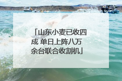 山东小麦已收四成 单日上阵八万余台联合收割机