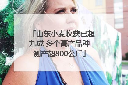 山东小麦收获已超九成 多个高产品种测产超800公斤