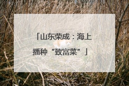 山东荣成：海上播种“致富菜”
