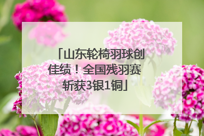 山东轮椅羽球创佳绩！全国残羽赛斩获3银1铜
