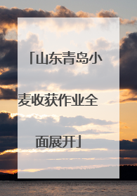 山东青岛小麦收获作业全面展开