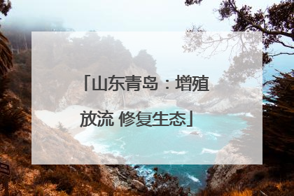 山东青岛：增殖放流 修复生态