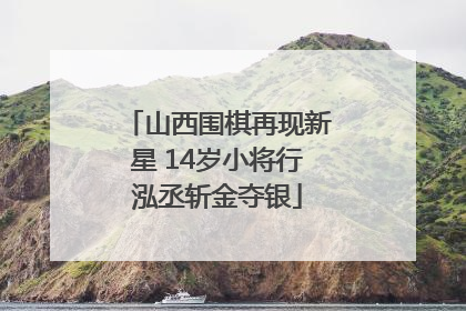 山西围棋再现新星 14岁小将行泓丞斩金夺银