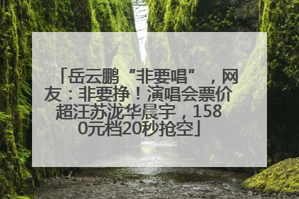 岳云鹏“非要唱”，网友：非要挣！演唱会票价超汪苏泷华晨宇，1580元档20秒抢空