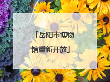 岳阳市博物馆重新开放