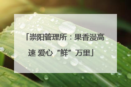 崇阳管理所：果香漫高速 爱心“鲜”万里
