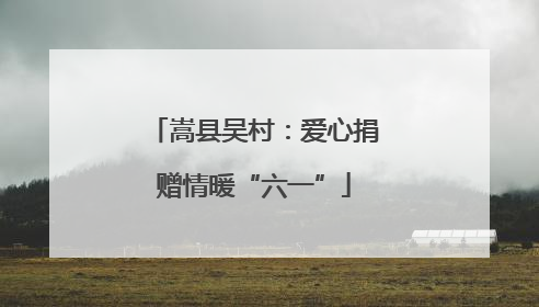 嵩县吴村：爱心捐赠情暖“六一”
