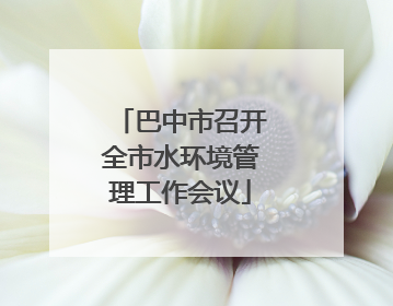 巴中市召开全市水环境管理工作会议
