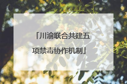 川渝联合共建五项禁毒协作机制