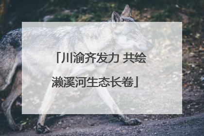 川渝齐发力 共绘濑溪河生态长卷