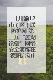 川渝12市（区）联防护网 第三届“旌湖论剑”网络安全演练在德阳启动