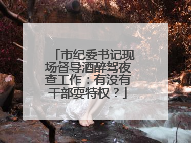 市纪委书记现场督导酒醉驾夜查工作：有没有干部耍特权？