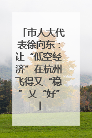 市人大代表徐向东：让“低空经济”在杭州飞得又“稳”又“好”