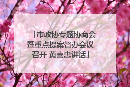 市政协专题协商会暨重点提案督办会议召开 黄喜忠讲话