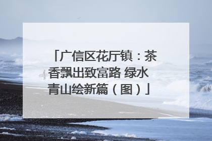 广信区花厅镇：茶香飘出致富路 绿水青山绘新篇（图）