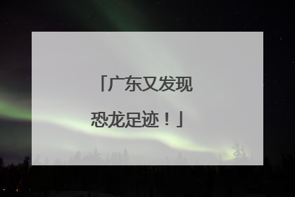 广东又发现恐龙足迹！