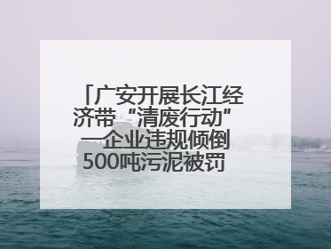 广安开展长江经济带“清废行动” 一企业违规倾倒500吨污泥被罚8万元