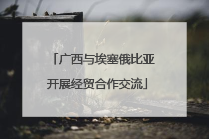 广西与埃塞俄比亚开展经贸合作交流