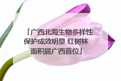 广西北海生物多样性保护成效明显 红树林面积居广西首位