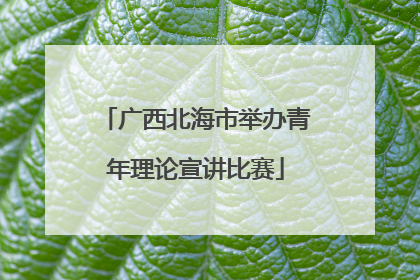 广西北海市举办青年理论宣讲比赛