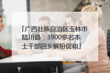 广西壮族自治区玉林市陆川县：3900多名本土干部回乡解纷促和