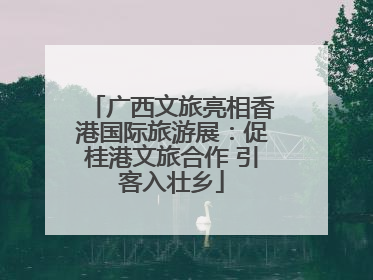 广西文旅亮相香港国际旅游展：促桂港文旅合作 引客入壮乡
