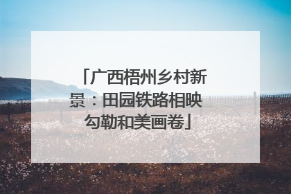 广西梧州乡村新景：田园铁路相映 勾勒和美画卷