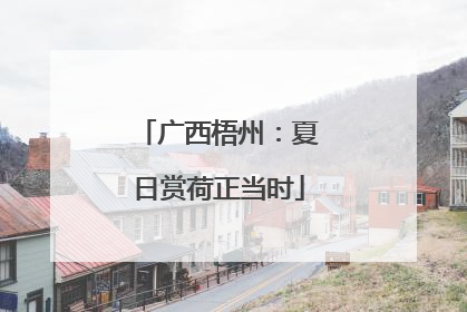 广西梧州：夏日赏荷正当时