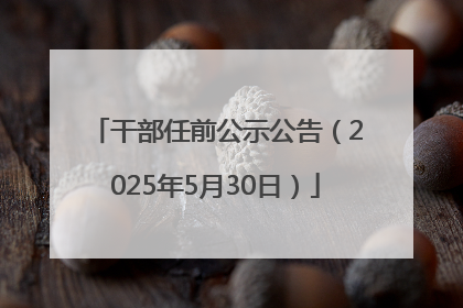 干部任前公示公告（2025年5月30日）