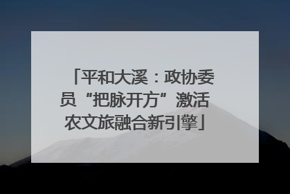 平和大溪：政协委员“把脉开方”激活农文旅融合新引擎