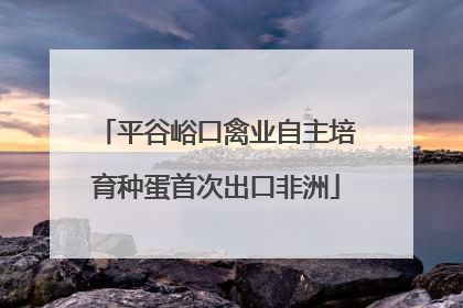 平谷峪口禽业自主培育种蛋首次出口非洲