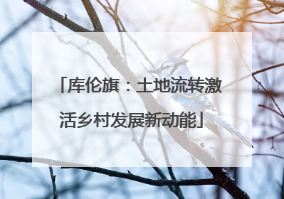 库伦旗：土地流转激活乡村发展新动能